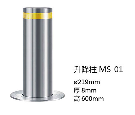  MS-01